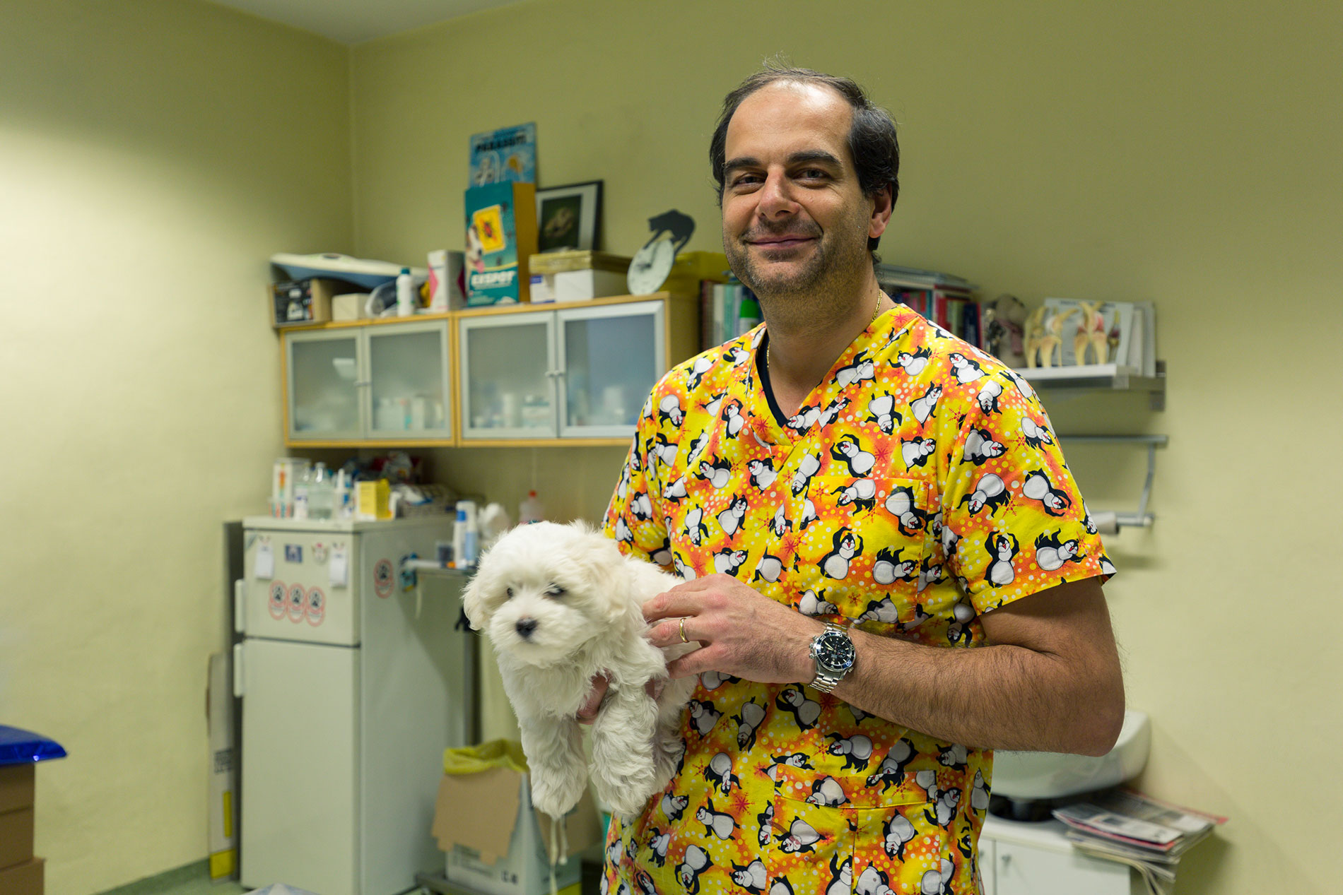 Dottor David Sacchi, Veterinario a Firenze