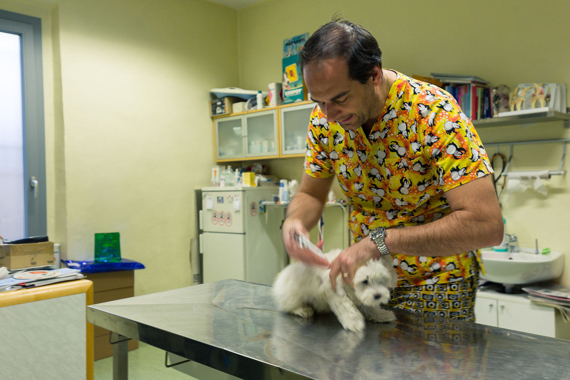 Visite ambulatoriali - Ambulatorio Veterinario San Bartolo Firenze