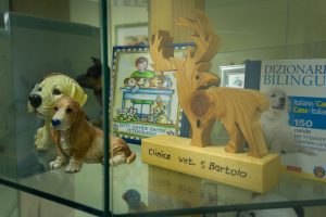 Ambulatorio Veterinario San Bartolo, Firenze