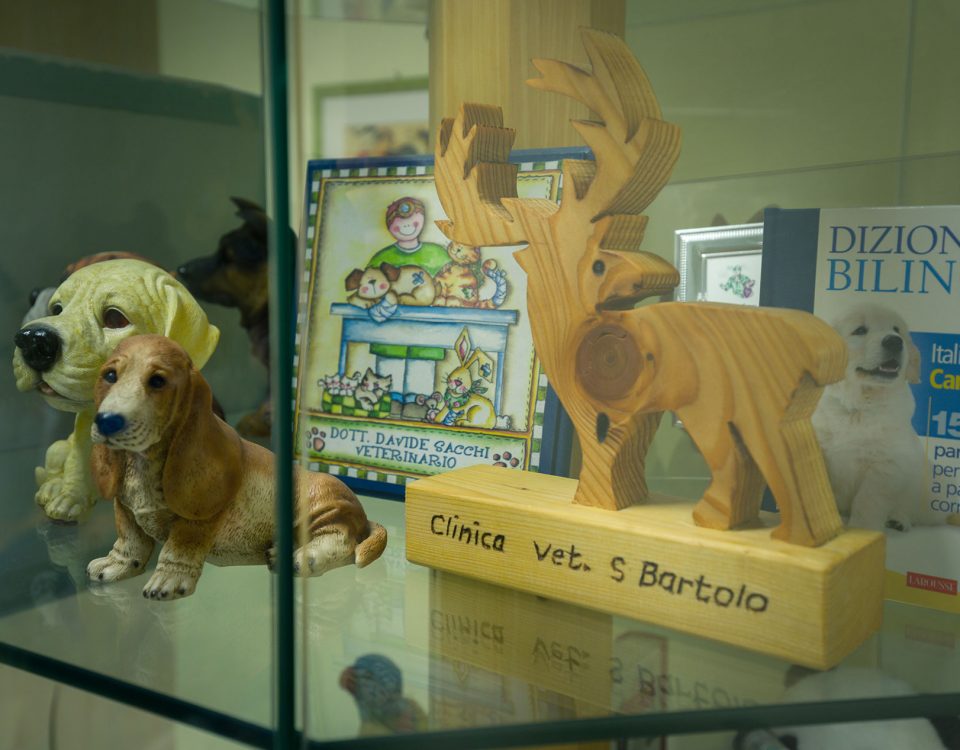 Ambulatorio Veterinario San Bartolo, Firenze