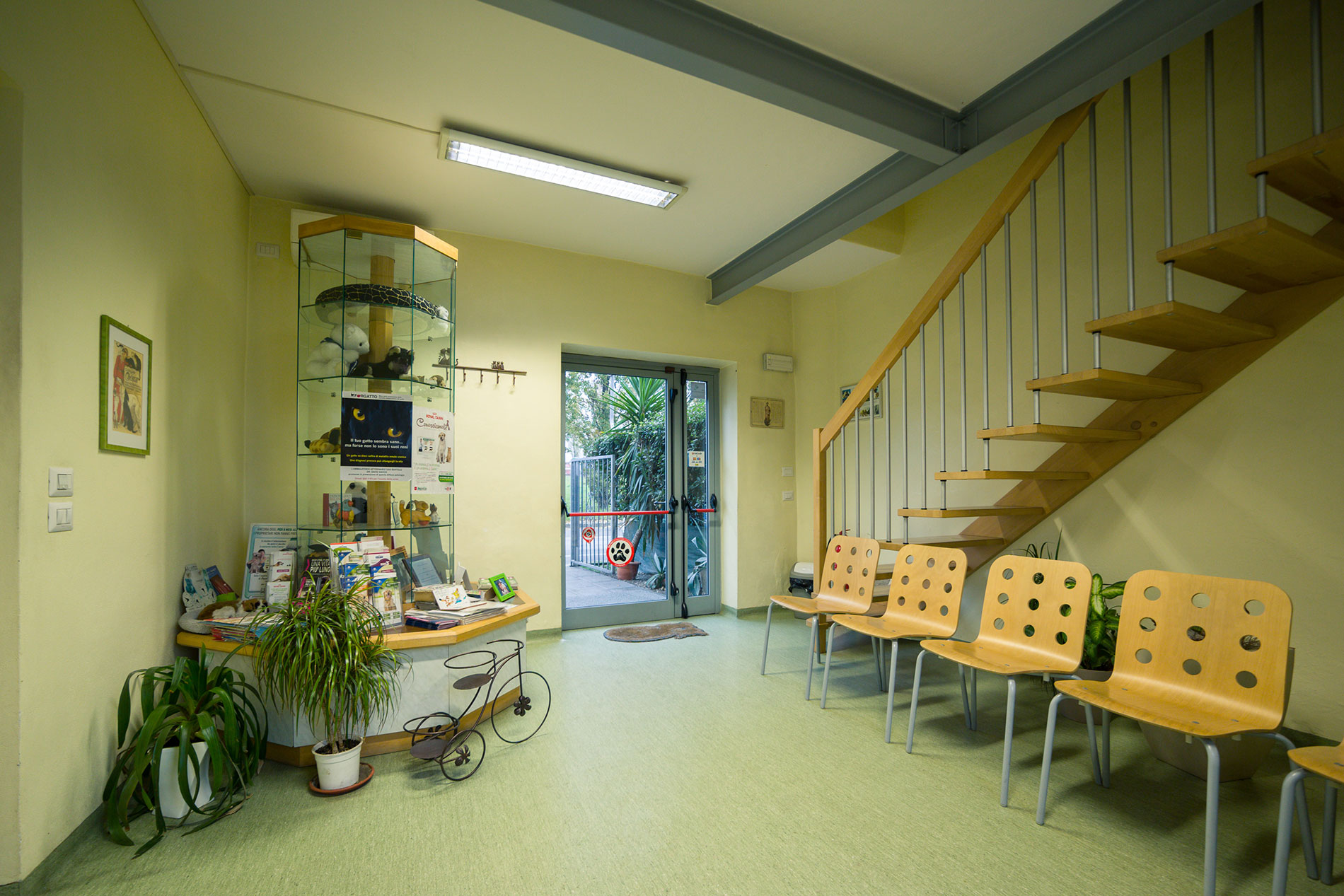 Sala di attesa - Clinica Veterinaria San Bartolo, Firenze
